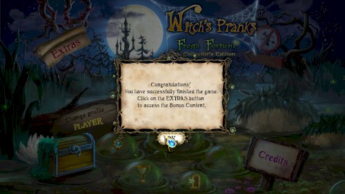 Screenshot of Witch's Pranks: Frog's Fortune Collector's Edition