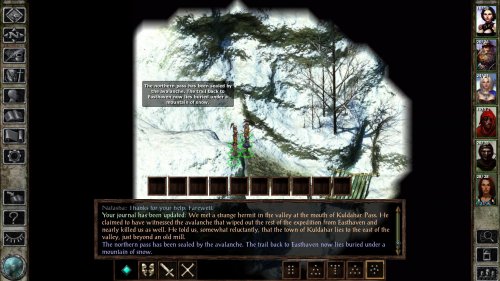 Screenshot of Icewind Dale: Enhanced Edition